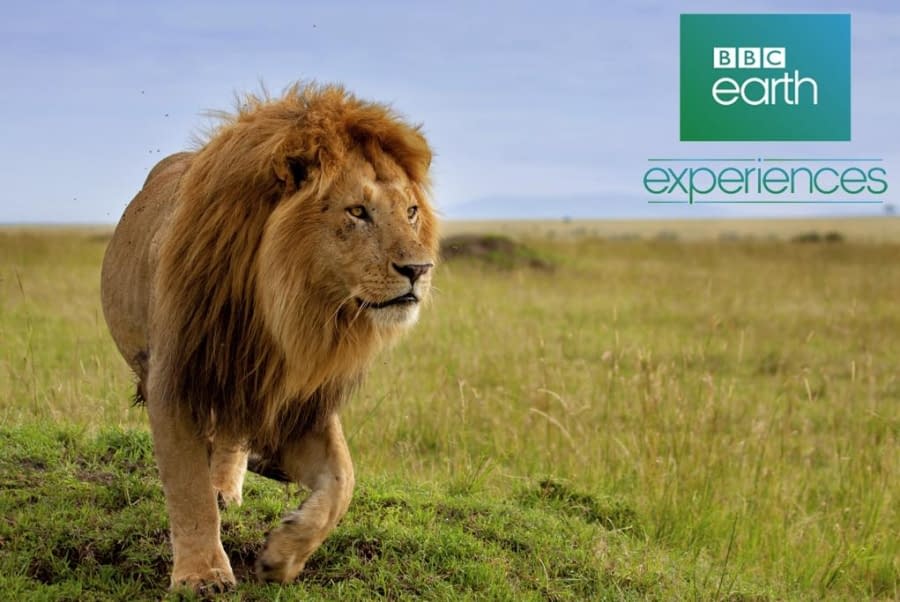 BBC Experiences
